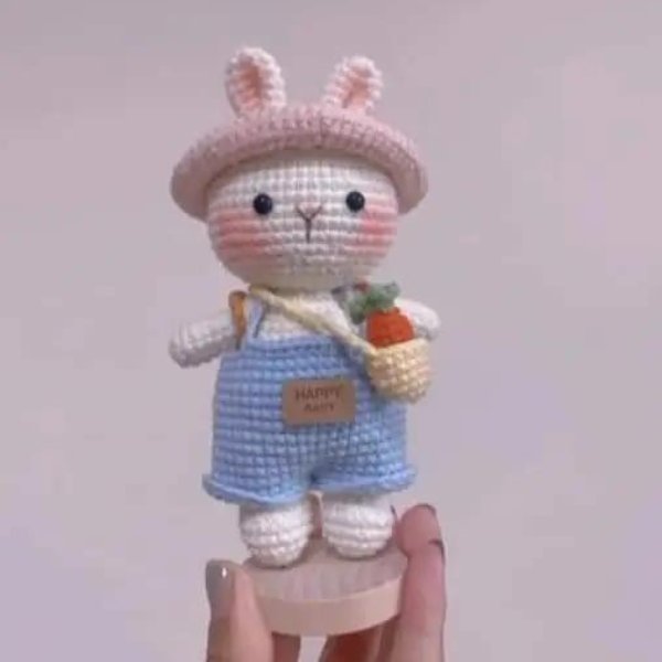 Bunny Wearing Bag Crochet Pattern